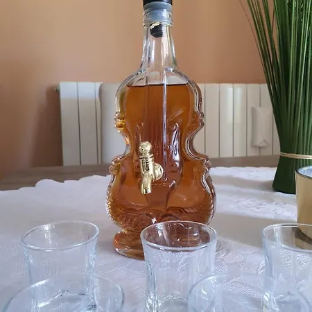 Vila Kuca Za Odmor Tanja *